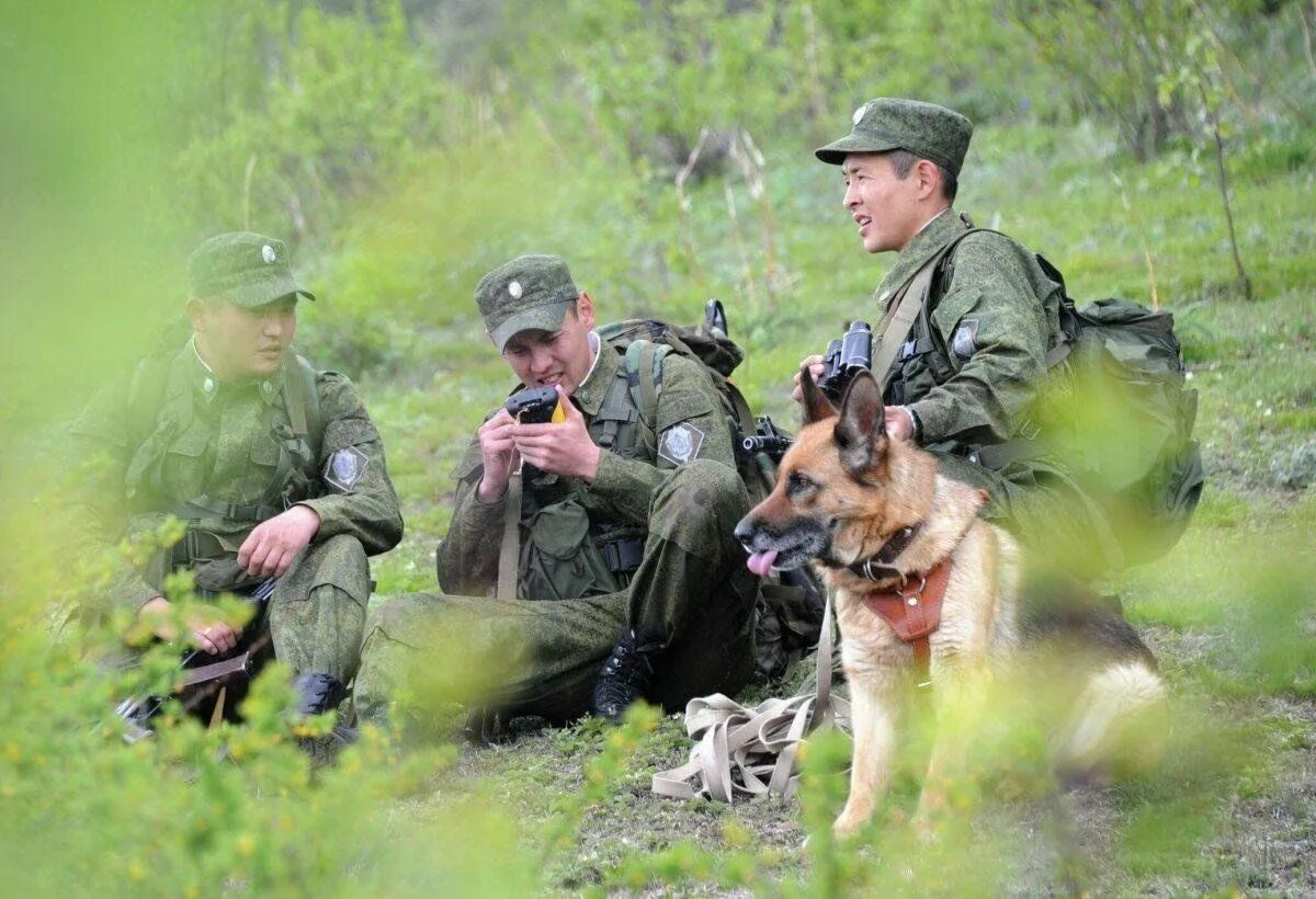 Пограничники россии фото Игровая программа "А на плечах у нас зелёные погоны" 2023, Верхнекамский район -