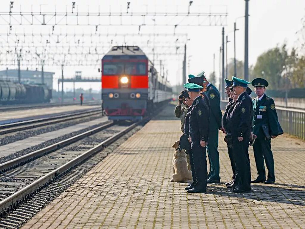 Пограничные станции фото ✈ Правила и особенности таможенного контроля в поезде