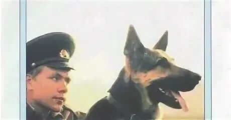 Пограничный пес алый актеры и роли фото POGRANICHNYY PYOS ALYY Full Movie (1979) Watch Online Free - FULLTV