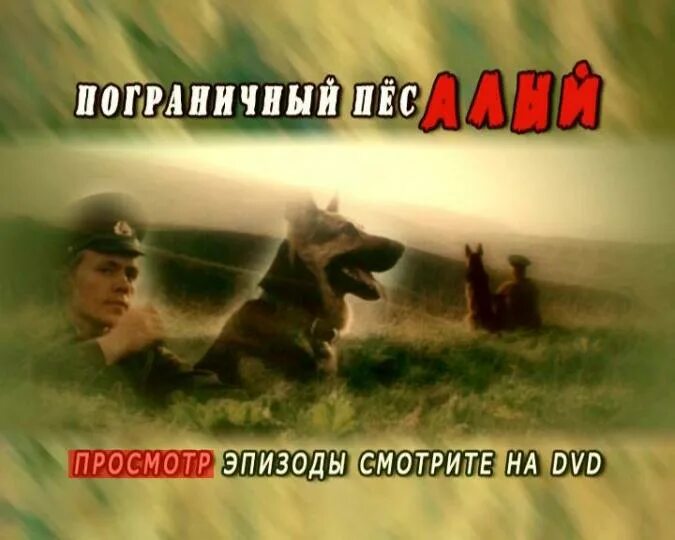 Пограничный пес алый книга фото "Пограничный пес Алый (DVD)" купить Лабиринт
