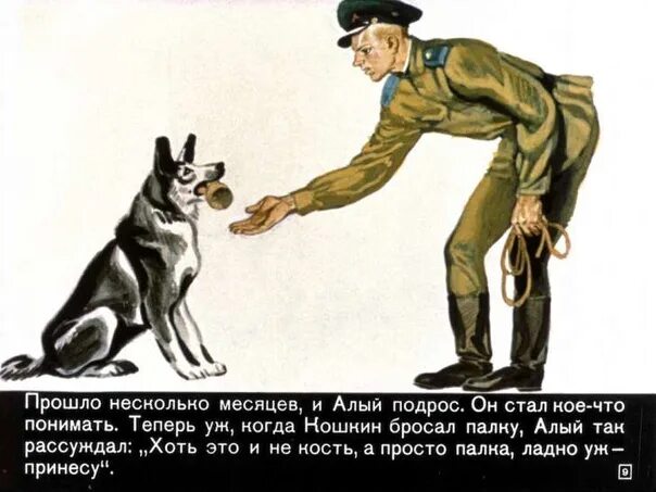 Пограничный пес алый книга фото Диафильм - Коваль Ю - Алый - Фотография 10 из 53 ВКонтакте