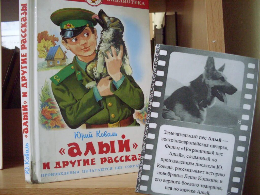 Пограничный пес алый книга фото О тех, кто лает: самые известные собаки в литературе и кино