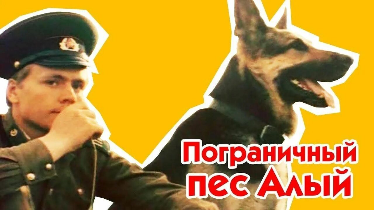 Пограничный пес алый книга фото Пограничный пёс Алый - показ художественного фильма 2023, Люберцы - дата и место