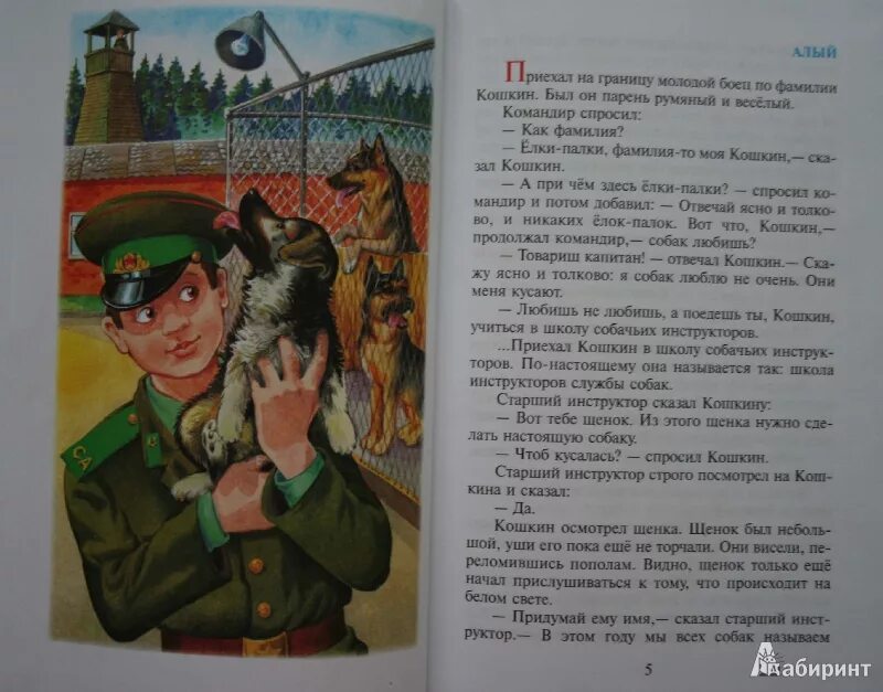 Пограничный пес алый книга фото Иллюстрация 4 из 55 для Алый и другие рассказы - Юрий Коваль Лабиринт - книги. И