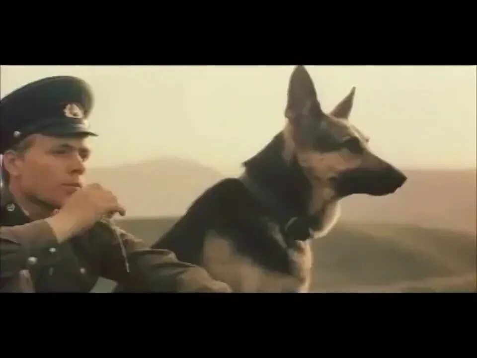 Пограничный пес алый книга фото Граница не отпускает - YouTube