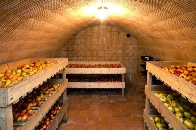 Погреб для хранения овощей фото How To Build A Root Cellar Cheap 10 DIY Plans Root cellar, Cellar, Underground h