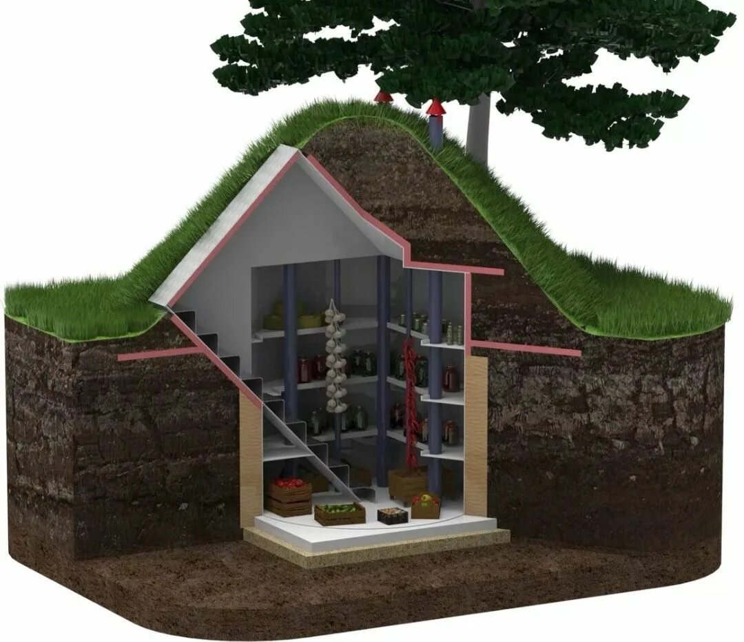 Погреб в земле фото Пин на доске Садовые идеи Погреб, Курятники, Дом