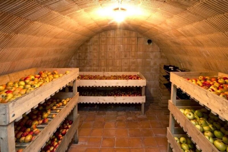 Погреба в тюмени цена и фото Quand récolter les pommes ? Cave à légumes, Maison souterraine, Maison en proven