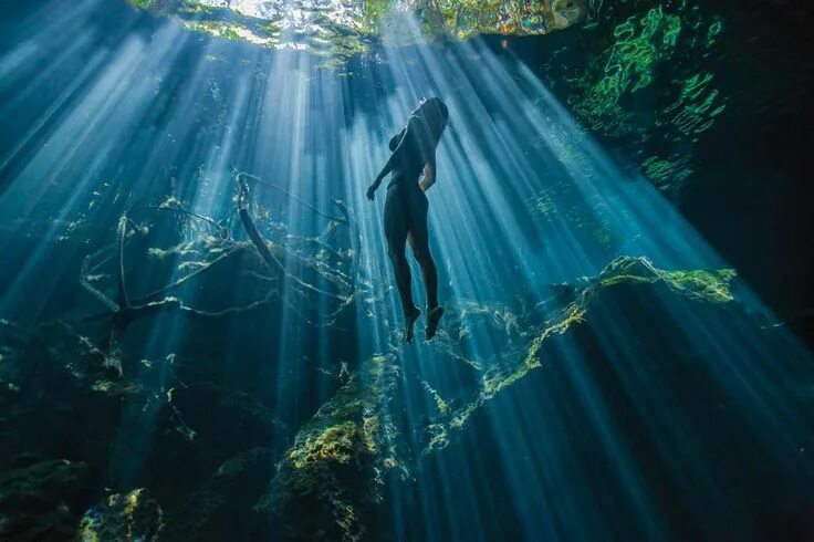 Погружение в воду фото Underwater Photography: Cenote Cistalino, Tulum, Yucatan, Mexico Riviera maya me