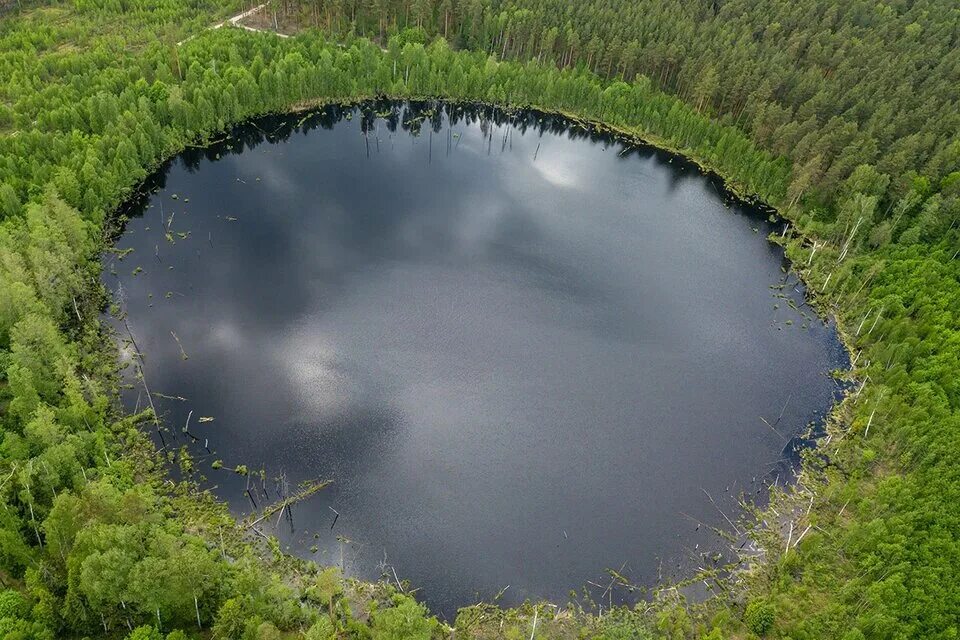 Поход на озеро карасово шатурский район фото Там у человека меняется сознание": что стоит за разгадкой тайны мистического озе