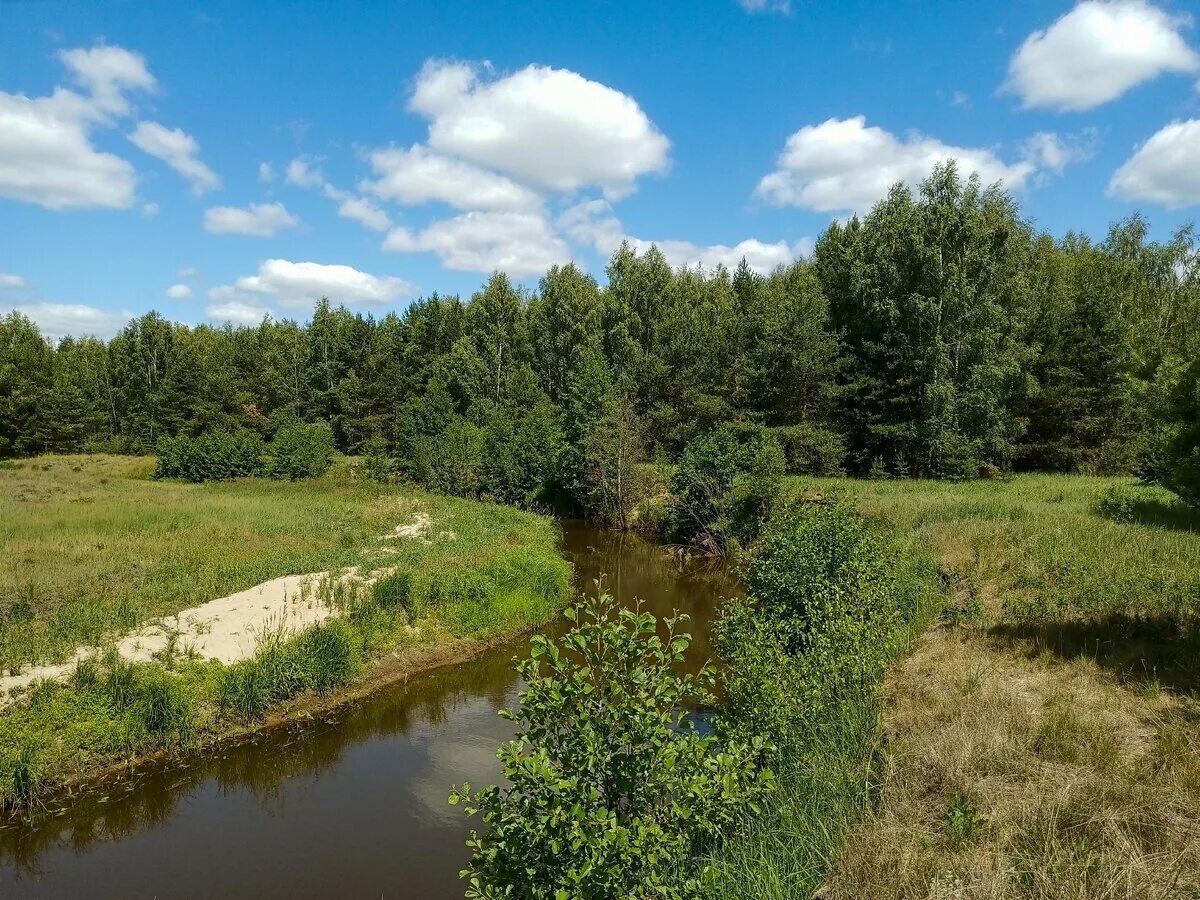 Поход на озеро карасово шатурский район фото Часовня "Всех скорбящих" Шатурский район.Велопоход .21.06.23 Со скрипом Дзен