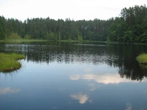 Поход на озеро карасово шатурский район фото Озеро дубовое шатурский район фото