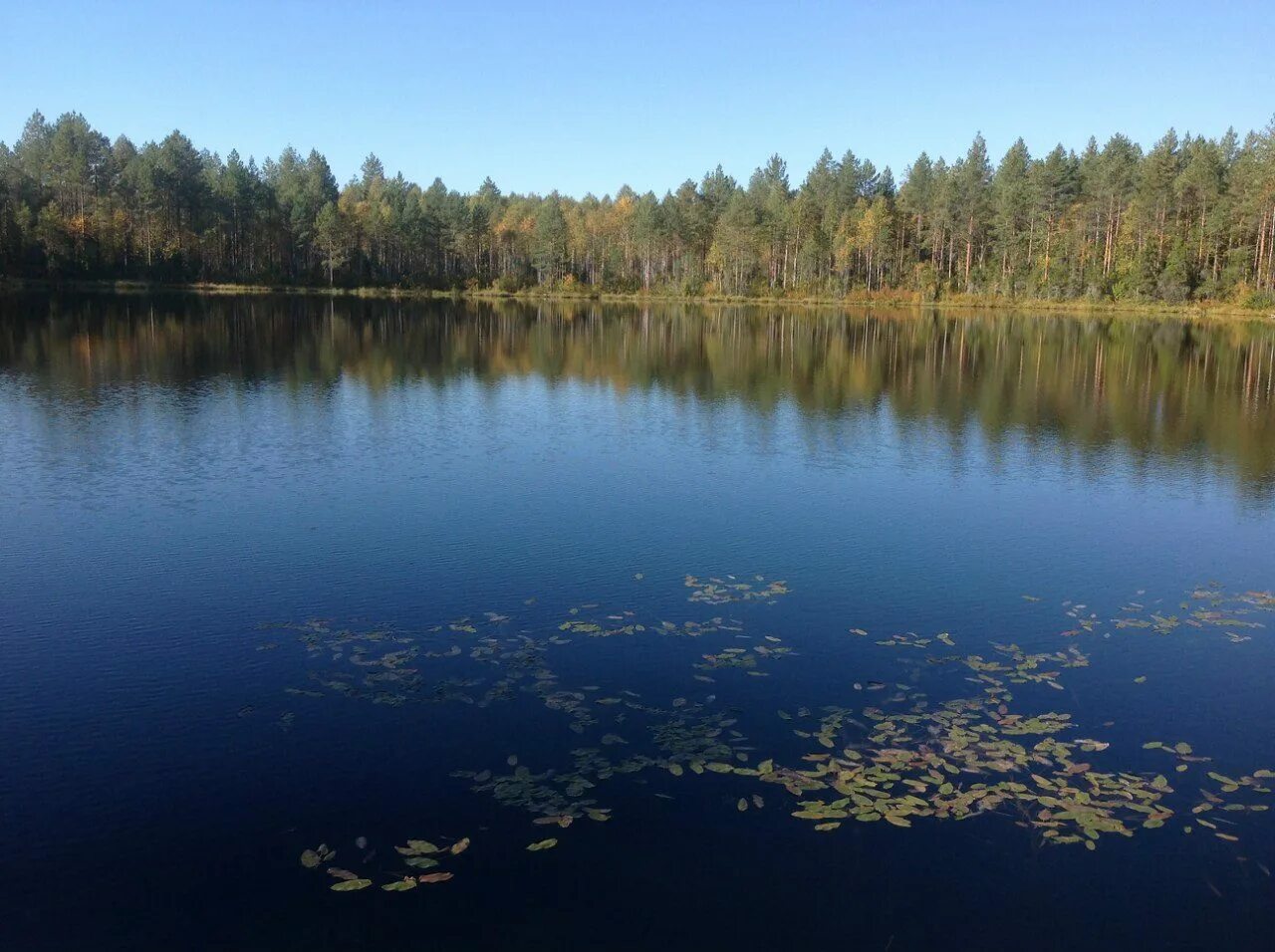 Поход на озеро карасово шатурский район фото Пайтово озеро