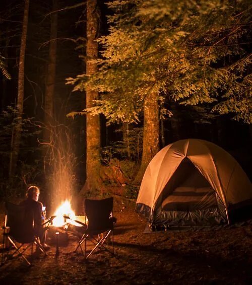 Походы в лесу фото Adore the World Camping fun, Tent, Go camping