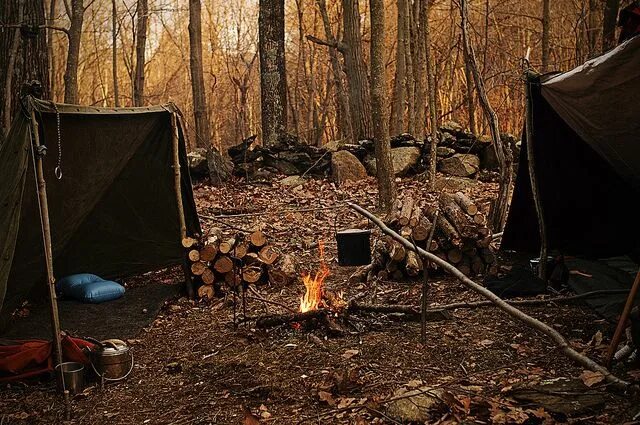 Походы в лесу фото First camp of 2012. Upstate NY Pics+Video Туризм, Творческий, На свежем воздухе