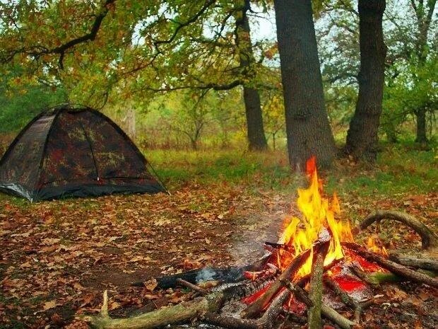 Походы в лесу фото Мамыр айындағы демалыс күндеріндегі қауіпсіздік ережелері