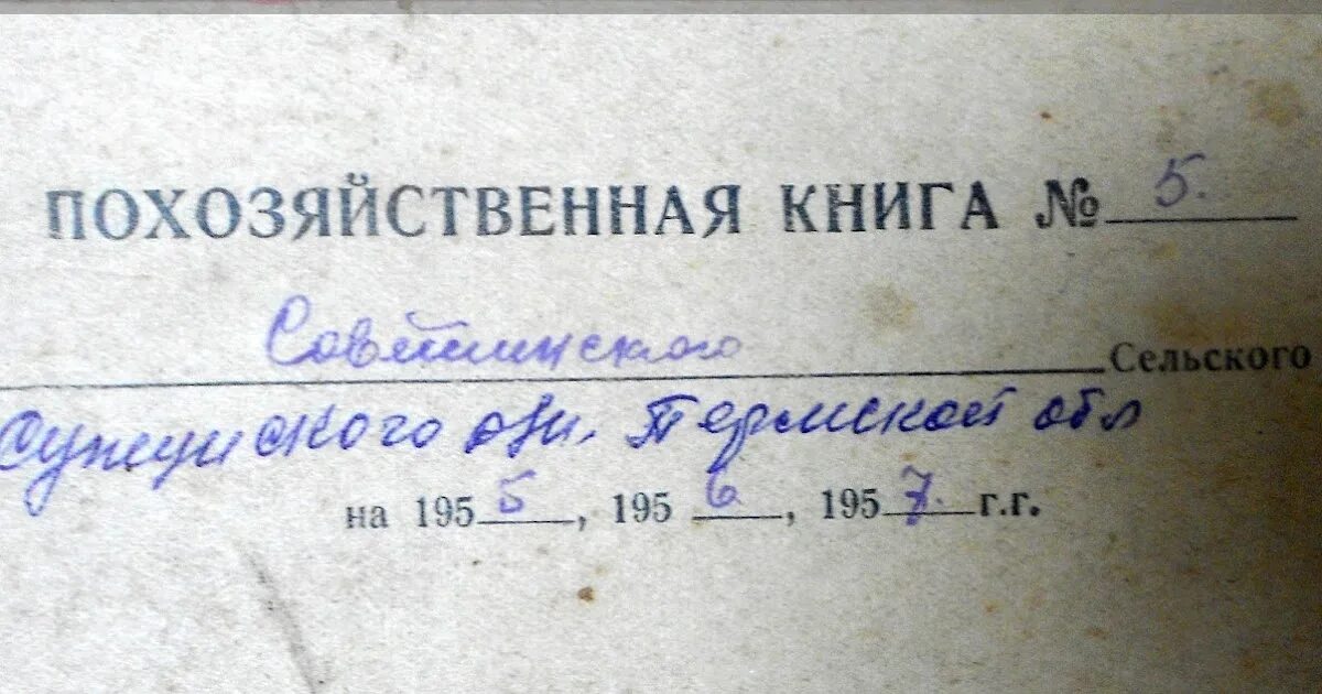 Похозяйственная книга фото РОДОВОЙ: Брусяна. Похозяйственная книга 1955-1957г. Окончание.