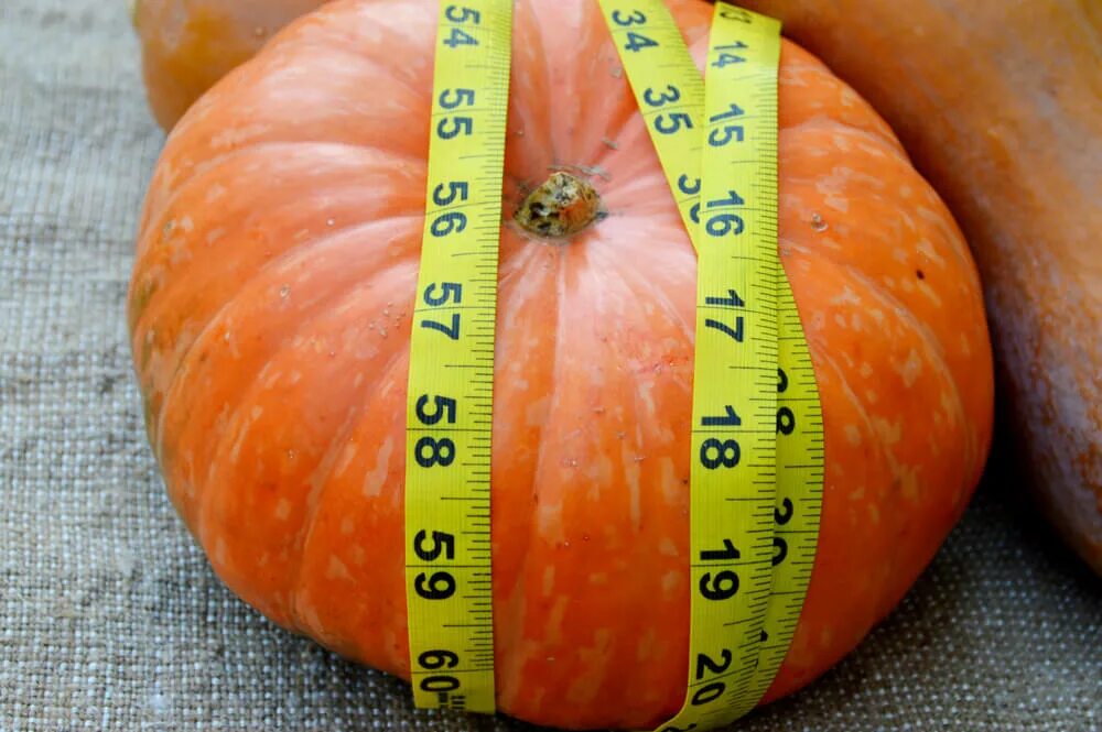 Похудение на тыкве отзывы и результаты фото Is a can of pumpkin measured by weight or volume?