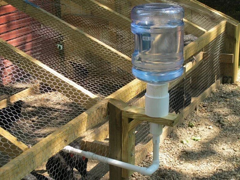 Поилка для кур фото Chicken Water Station: 6 Creative Ideas Chicken waterer, Chicken diy, Chickens