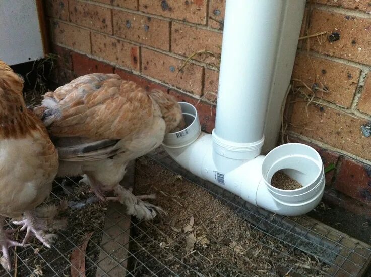 Поилка для кур фото DIY Chicken Feeder Easily Make it Yourself with PVC Chicken feeders, Pvc chicken