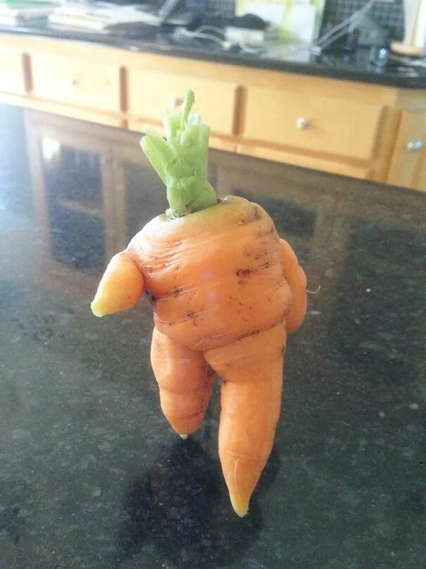 Поиск овоща по фото Curiosities Funny vegetables, Funny food pictures, Fruits and vegetables