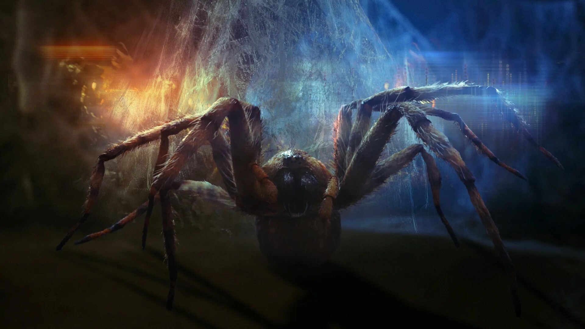 Поиск пауков по фото онлайн бесплатно Mutant Spiders Doctor Who Doctor Who