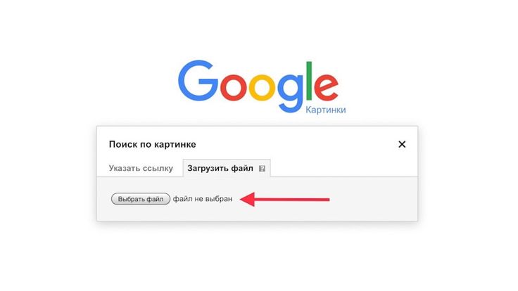 Поиск по фото без установки Как найти по фото или картинке с помощью поиска Google Картинки, Поиск, Растения