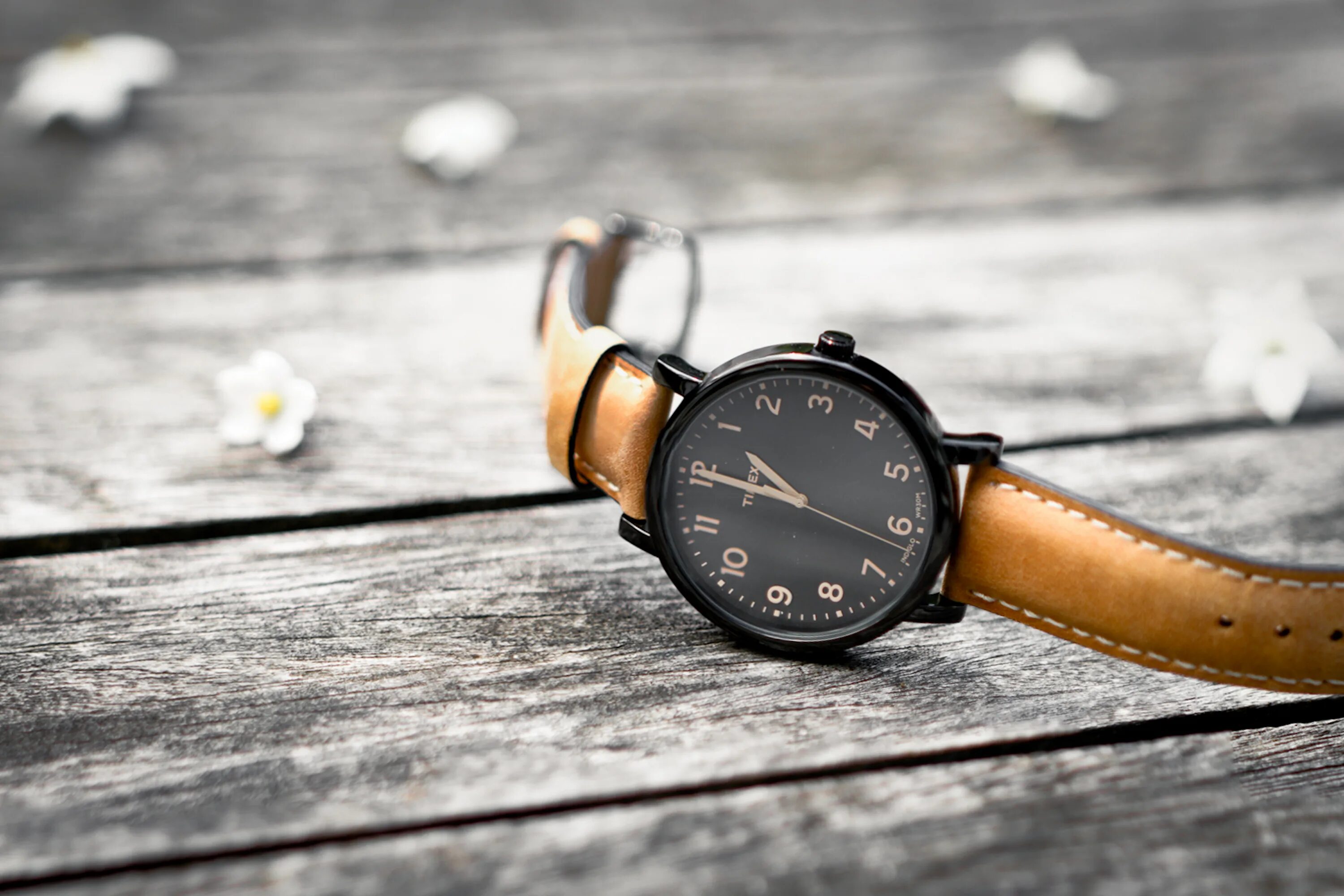 Поиск по фото часы Wallpaper : black, leather, Canon, deutschland, eos, hessen, watch, 7d, timex, p