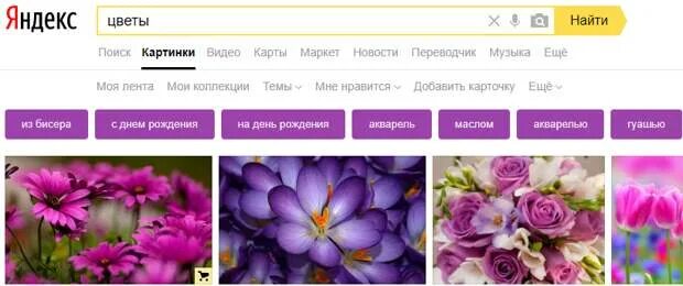 Поиск цветов по фото КАК СКАЧАТЬ КАРТИНКУ ИЗ ИНТЕРНЕТА - Домоводство - 8 июля - Медиаплатформа МирТес