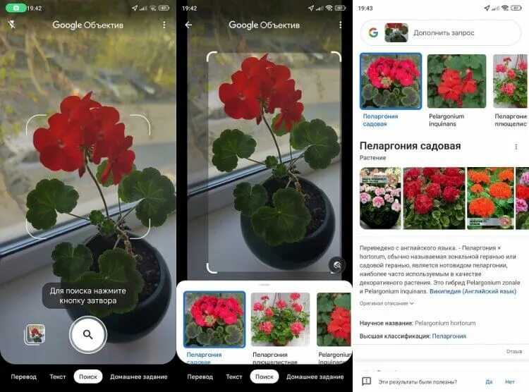 Поиск цветов по фото 5 приложений на Android, которые помогут определить цветок и любое другое растен