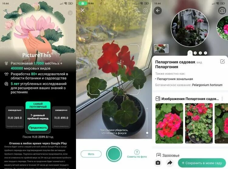 Поиск цветов по фото 5 приложений на Android, которые помогут определить цветок и любое другое растен