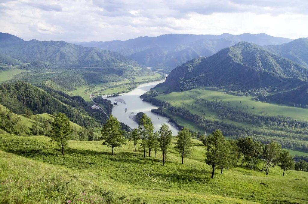 Показать алтайский край фото Встреча с предпринимателями из Алтайского края