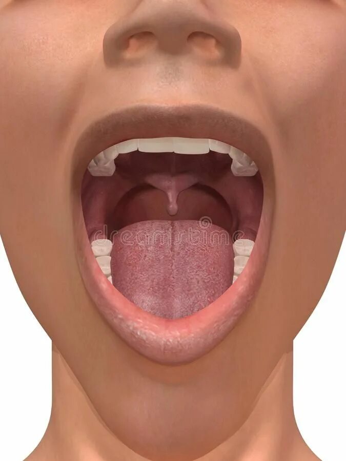 Показать фото горла Human mouth. 3d rendered illustration of an open mouth , #Affiliate, #mouth, #Hu