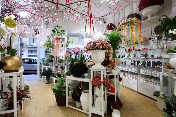 Показать фото магазина цветов флоренция г липецка La Bottega dei Fiori - Vendita fiori, Decorazioni - Allestimenti floreali, Weddi