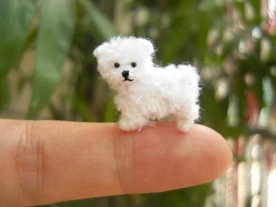 Показать фото самой маленькой Maltese Puppy Tiny Crochet Miniature Dog Stuffed Animals Made to Order - Etsy Mi