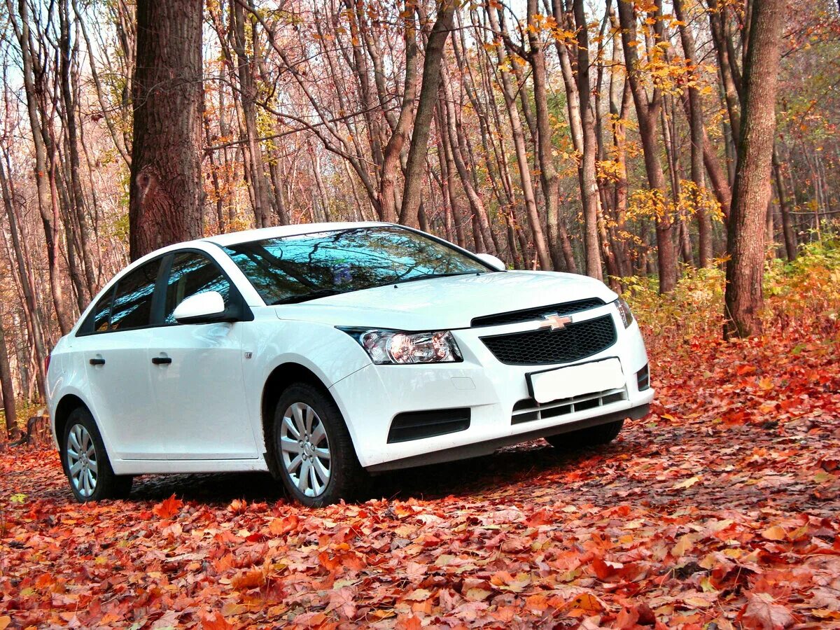 Показать фото шевроле круз Купить б/у Chevrolet Cruze I 1.6 MT (109 л.с.) бензин механика в Санкт-Петербург