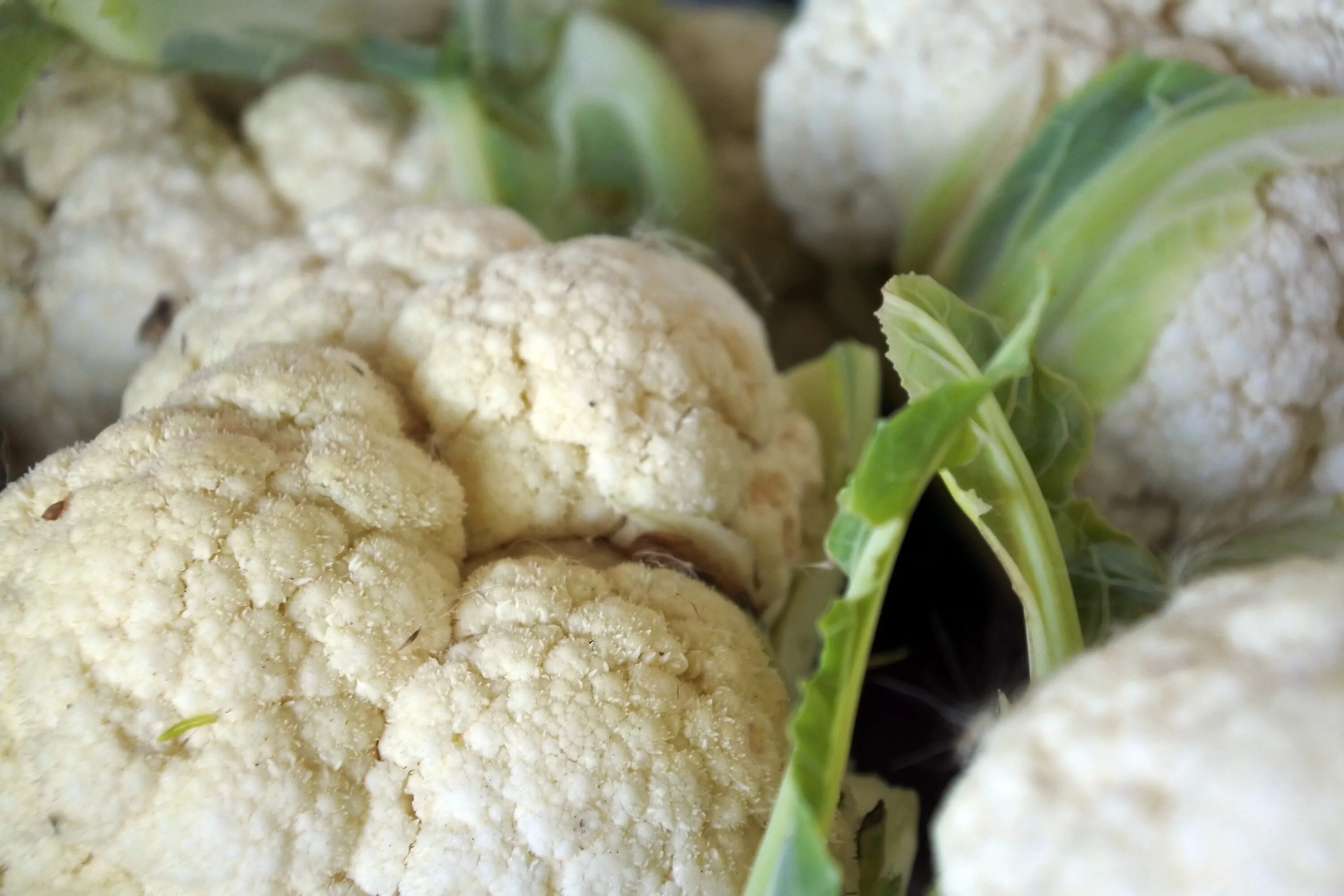 Показать фото цветной капусты White cauliflower vegetable close-up free image download