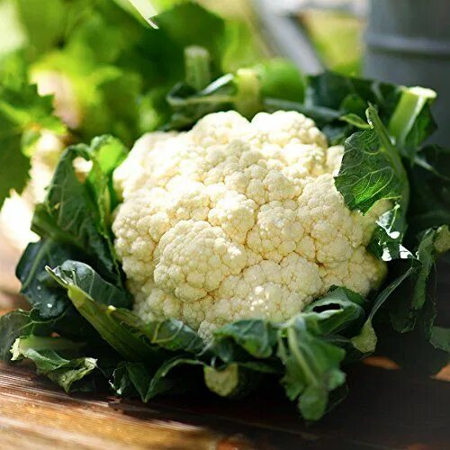 Показать фото цветной капусты Cauliflower Seeds - Snowball Y Improved - Packet - Vegetable Seeds, Heirloom See