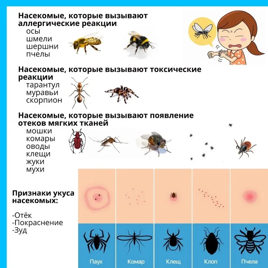 Показать фото укусов насекомых Профилактика укусов насекомых