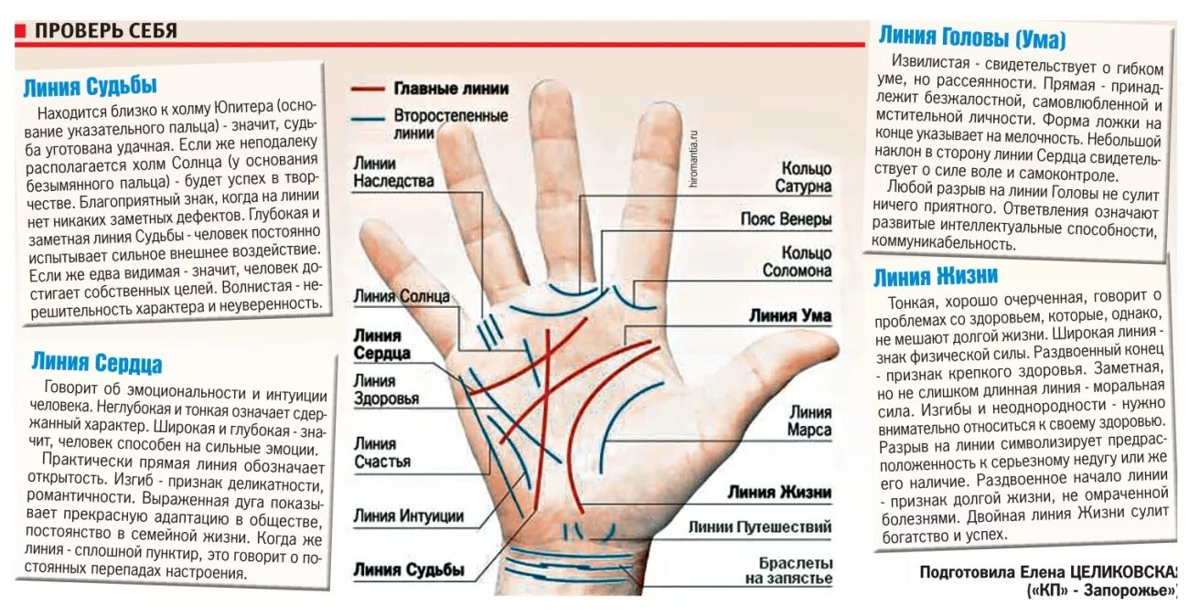 Показать линию жизни на руке фото Картинки ЛИНИЯ ЖИЗНИ РАССЧИТАТЬ