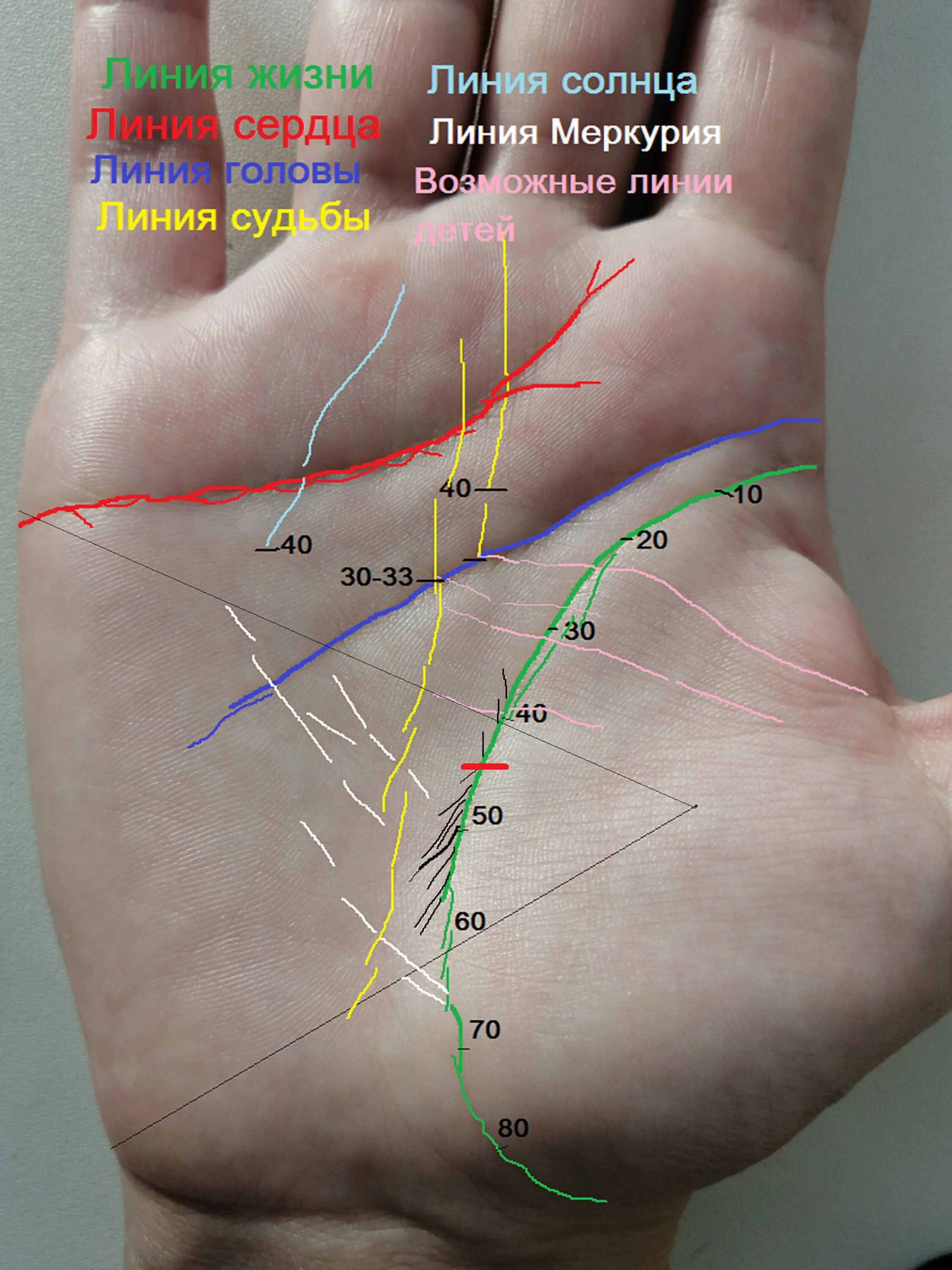 Показать линию жизни на руке фото Линия жизни - LiveJournal