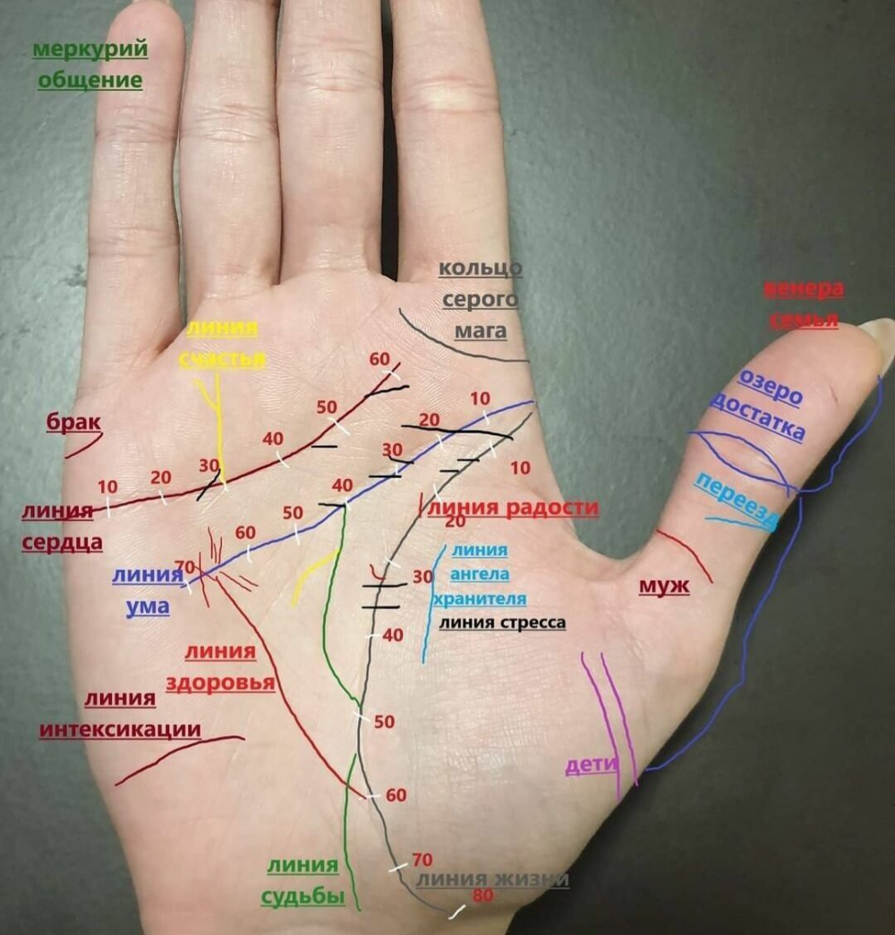 Показать линию жизни на руке фото 88) Одноклассники Хиромантия, Таро, Астрология