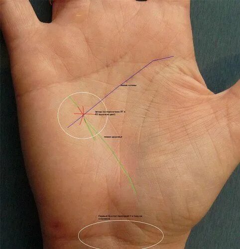 Показать линию жизни на руке фото Опасная атрибутика на дороге головы Хиромантия, Знаки, Астрология