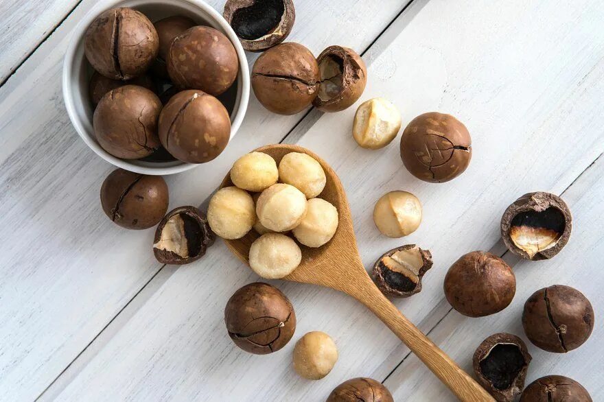 Показать орех макадамия фото Macadamia nuts containing macadamia, nuts, and background in 2022 Food, Macadami