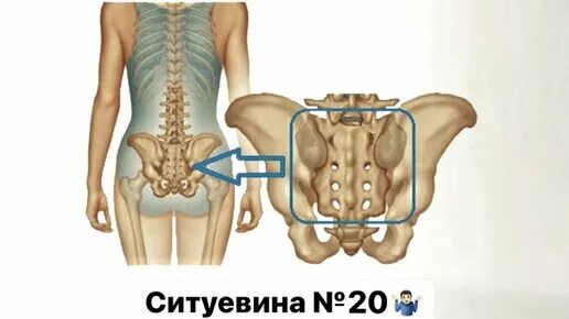 Показать пояснично крестцовый отдел позвоночника фото ОМОЛОЖЕНИЕ Красивые губы Подтянутый овал лица. Подписывайтесь и смотрите полную 