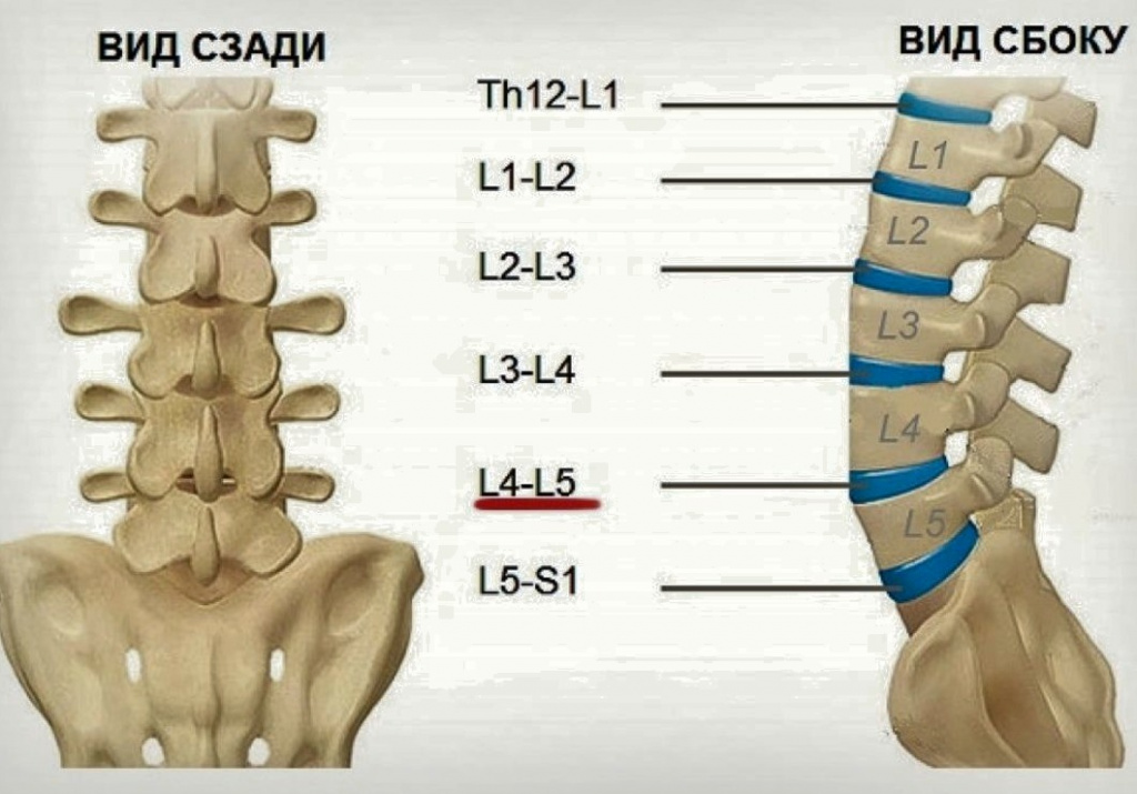 Показать поясничный отдел позвоночника фото Позвоночные диски l3 l4