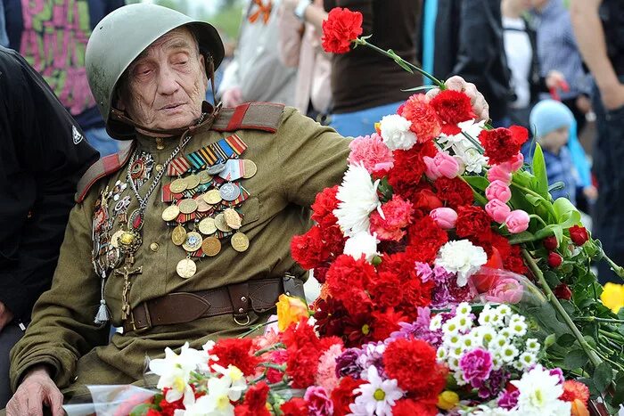 Покажи фото 9 мая Акция помощи ветеранам войн вводит новый символ патриотизма - гвоздику - Газета.