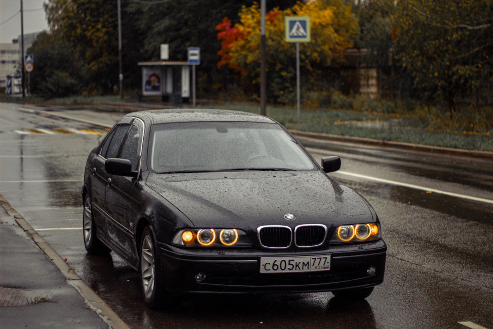 Покажи фото бмв 5 Заменил амортизаторы. но не до конца. - BMW 5 series (E39), 3 л, 2002 года своим