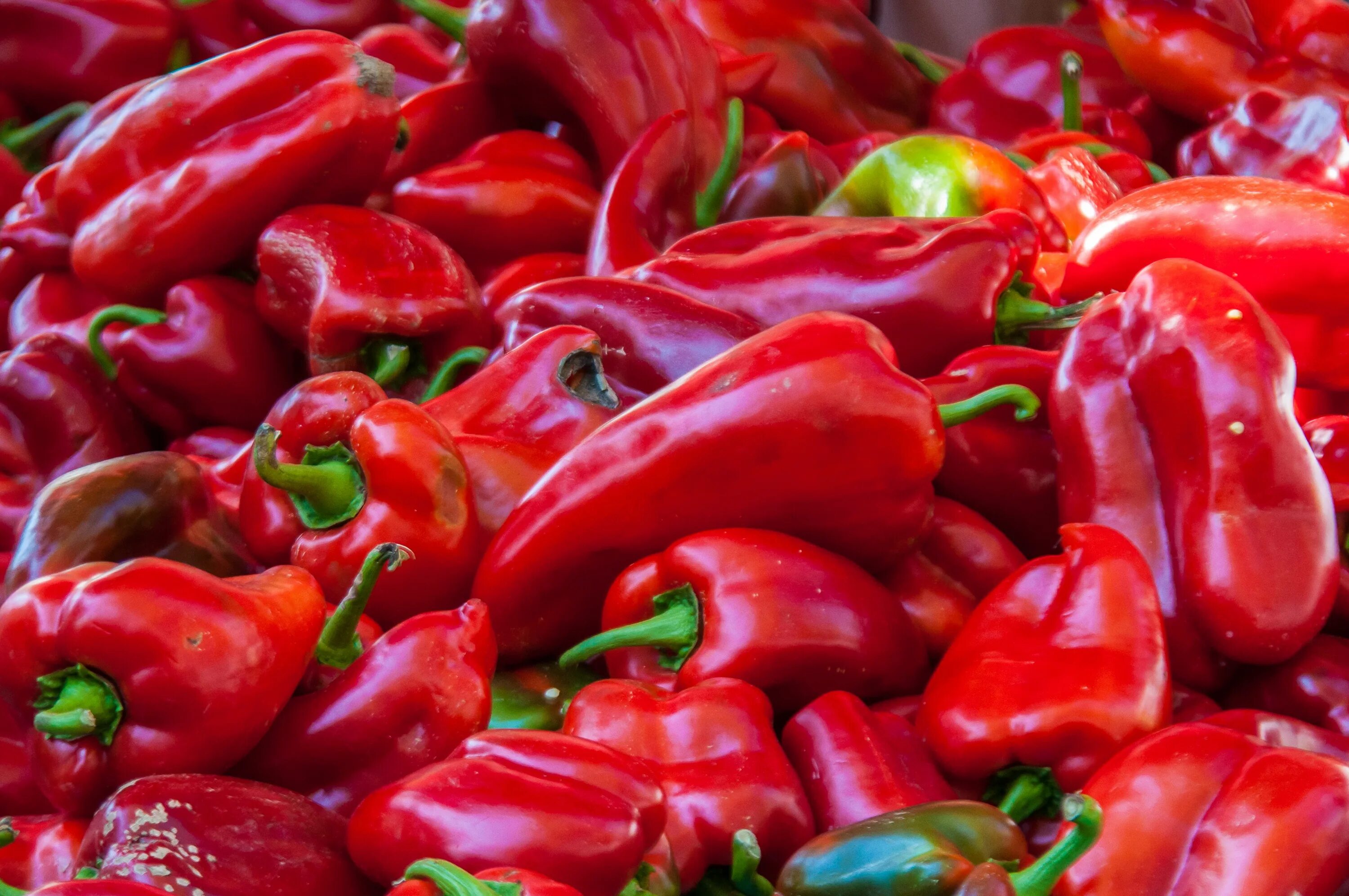 Покажи фото болгарского перца A big pile of red paprika in a market free image download