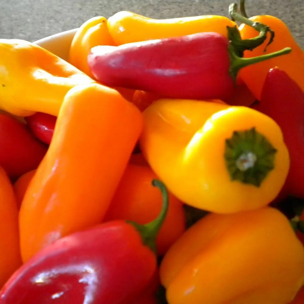 Покажи фото болгарского перца Easy Pickled Sweet Mini Peppers Recipe on Food52 Recipe Stuffed peppers, Mini pe